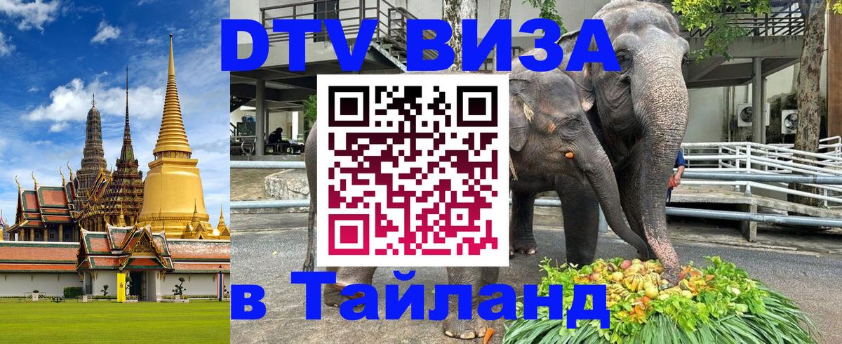 Стоимость и условия DTV визы — оформление в Таиланд под ключ - 05.10.2025 